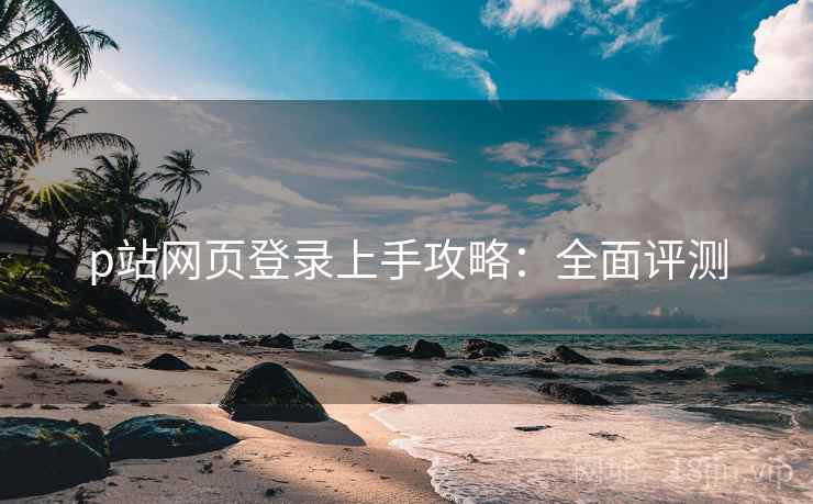 p站网页登录上手攻略：全面评测