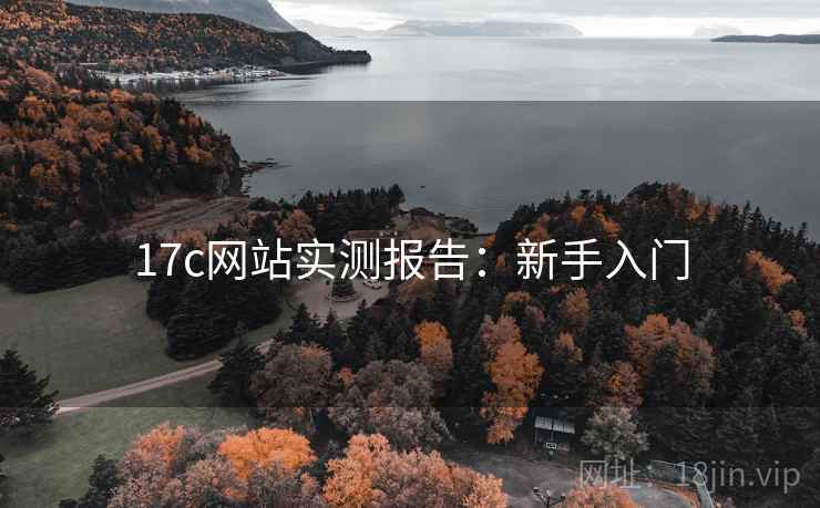 17c网站实测报告：新手入门