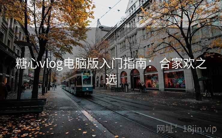 糖心vlog电脑版入门指南：合家欢之选